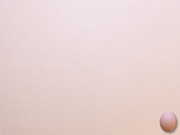 egg - powerpoint backgrounds