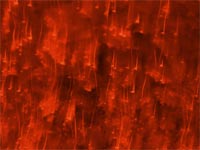 abstract lights - powerpoint backgrounds